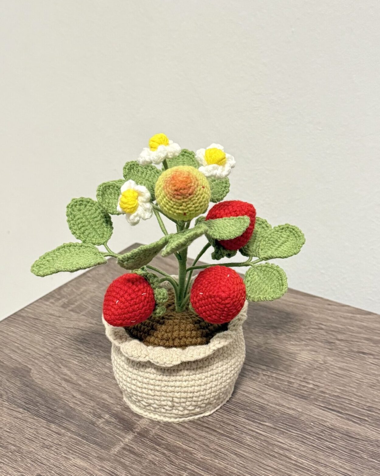 草莓树钩织花瓶 Strawberry Tree Crochet Pot